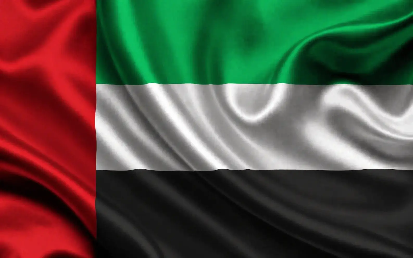 Halal Trade AI تداول آلي